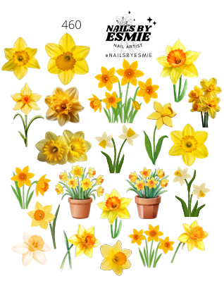 #460 - Daffodil