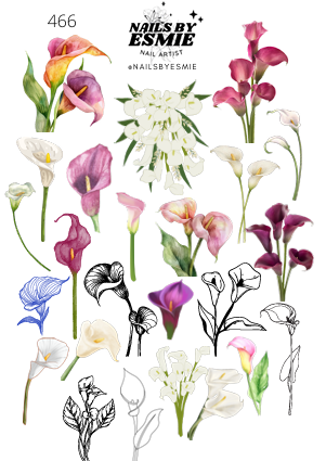 #466 - Calla Lily