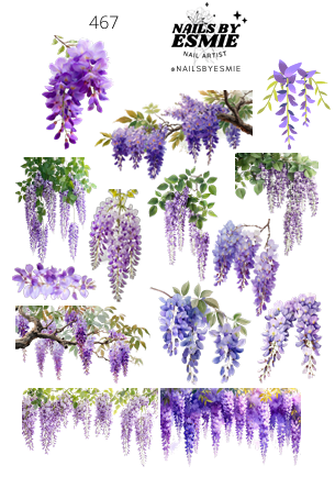 #467 - Wisteria