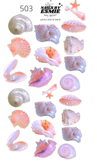 #503 - Shell Luxe