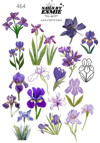 #464 - Iris