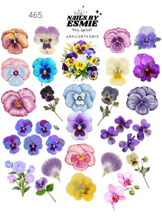 #465 - Pansy