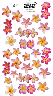 #501 - Aloha Bloom