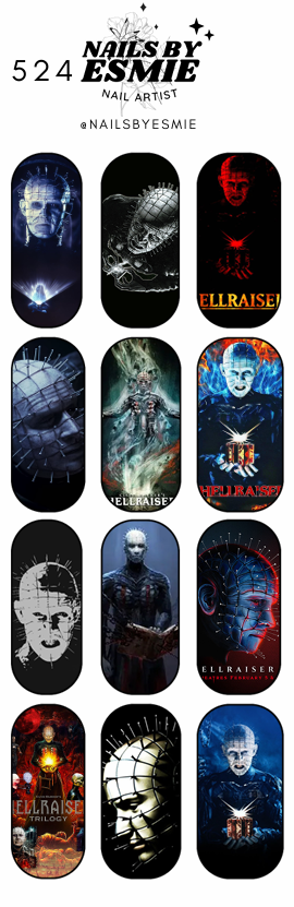 #524 - Hellraiser Full Cover Decals (Long)